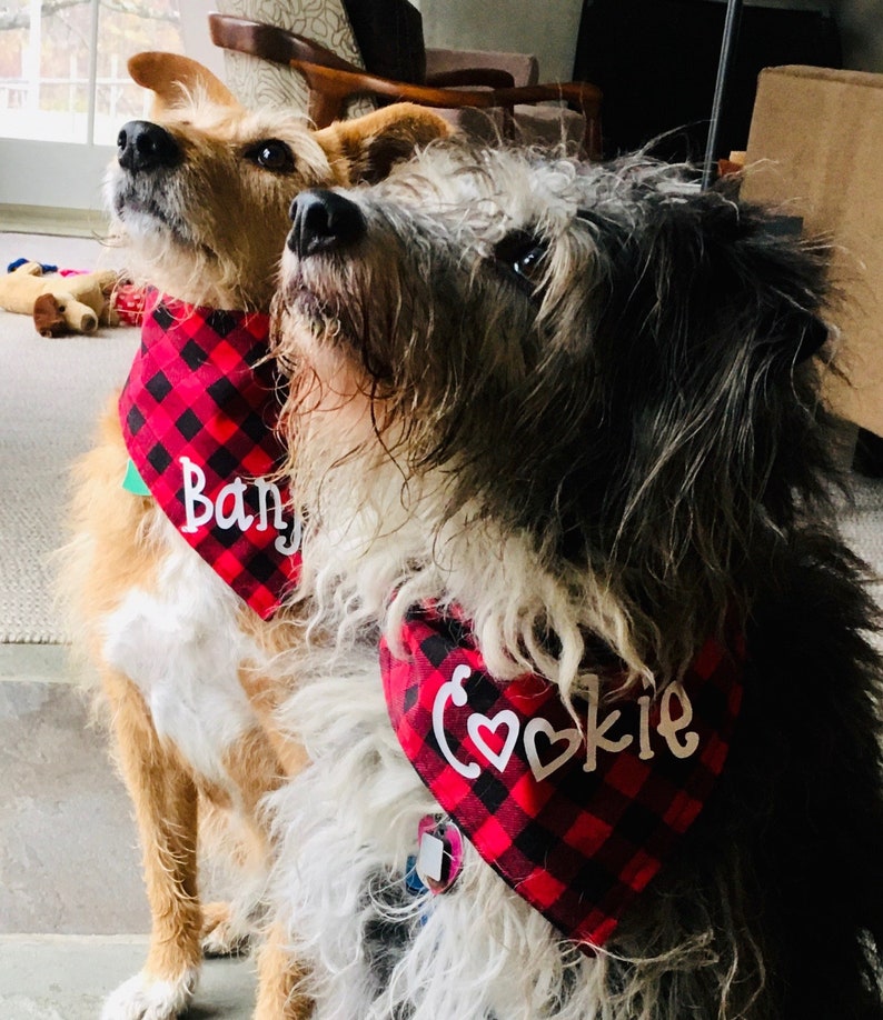 Personalized Dog Bandana Handmade Snap Button Close Red and Etsy
