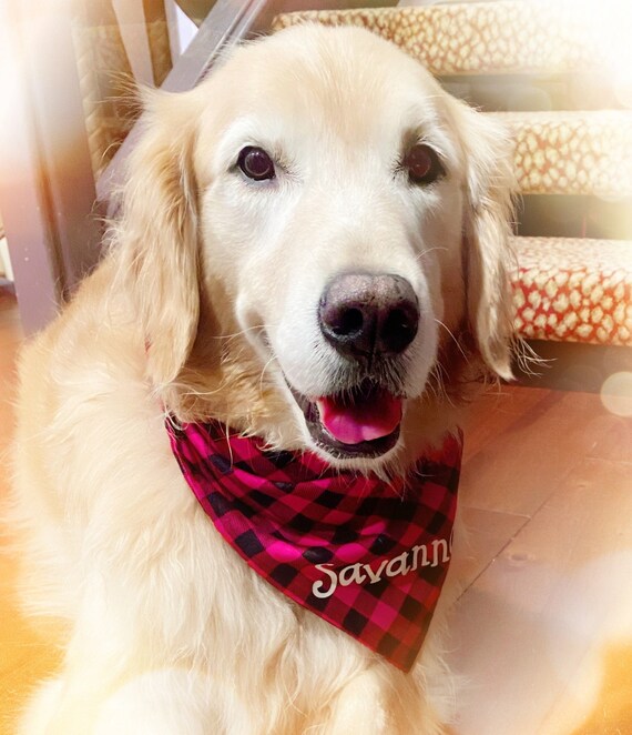 Personalized Dog Bandana Handmade Snap Button Close Red and Etsy