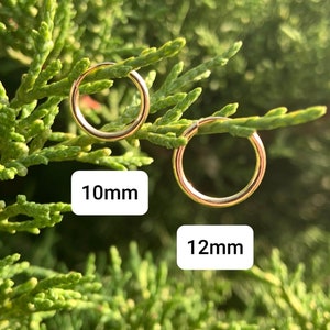 May include: Two gold hoop earrings, one 10mm and one 12mm in diameter, are displayed against a green leafy background.