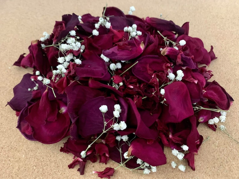 birthdays and huge life milestones \u2022 Tossing wedding flowers \u2022 Made in Canada Biodegradable Flower Confetti \u2022 Great for weddings