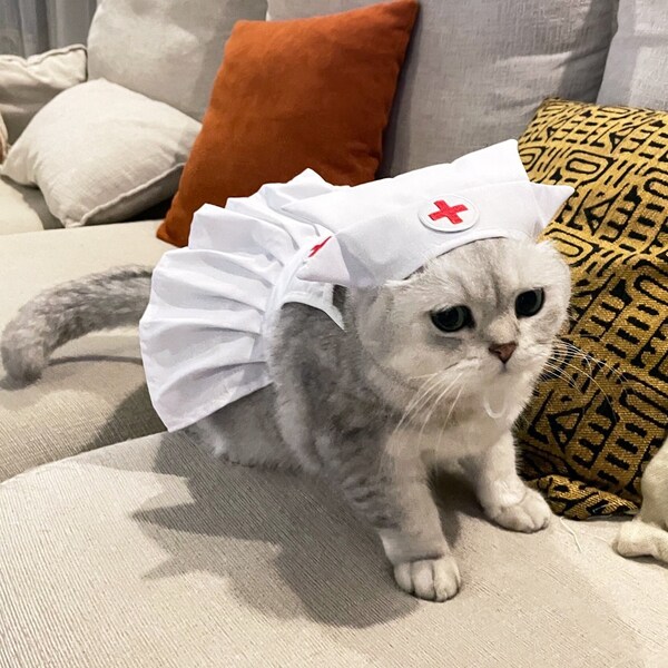 Cat Nurse Costume Halloween Costume, Nurse Dress with a Nurse Cap, Cat Nurse Outfit, Dog Dentist Costume, Cat Dog Pet Cosplay Party Clothes