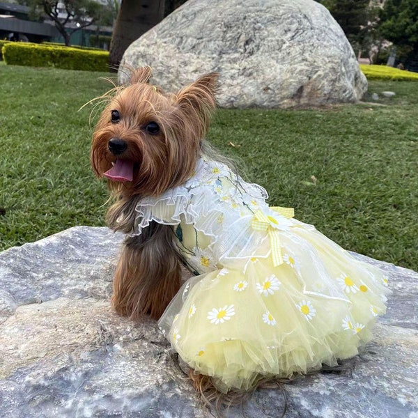 Daisy Flower Dog Dress, Summer Dog Tutu Dress Yellow, Cat Dog Wedding Dress, Cat Dog Birthday Outfit Dog Princess Costume Pet Clothes Custom