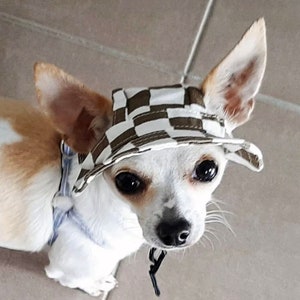 Bob pour chien avec trous pour les oreilles, t-shirt d'été pour chien, bonnet de soleil pour chien, chapeau à visière pour chien, casquette de protection solaire, chapeau de randonnée de voyage pour chat, chien, animal de compagnie