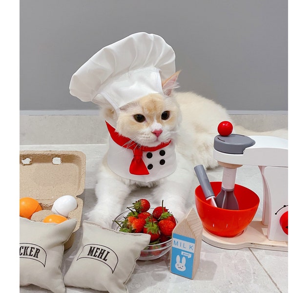 Costume de chef de chat Halloween, tenue de fête pour animal de compagnie, costume d'assistant de cuisine, bandana de chef pour chat, costume de cuisinier