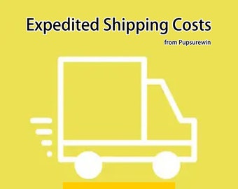Expedited Shipping Cost for talieh sadighi, FedEx or DHL International Priority