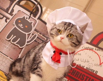 cat chef costume
