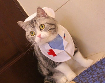 cat in nurse outfit
