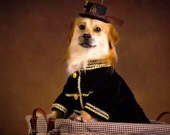 Costume de prince de chien Halloween, manteau en velours noir pour chiens et chats, uniforme militaire de costume de mariage pour chien, vêtements pour animaux de compagnie d’automne et d’hiver personnalisés