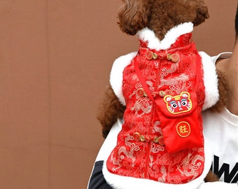 cat chinese new year costume