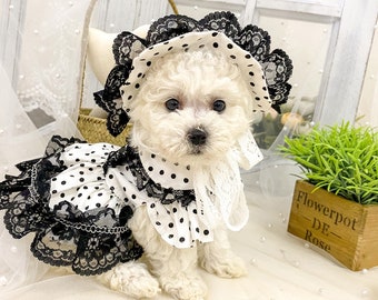 Robe à pois blanc noir pour chien, costume vintage des années 1950 inspiré d'Audrey, robe de chien avec un chapeau, tenue d'anniversaire pour chien chat vêtements pour animaux de compagnie personnalisés