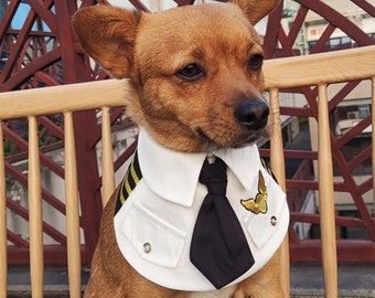 Déguisement de pilote de chien Halloween, bandana pour chien de l'Armée de l'air, bandana pour chien capitaine de l'Air, collier plastron pour aviateur pour animal de compagnie, tenue de pilote, vêtements pour chiot et lapin