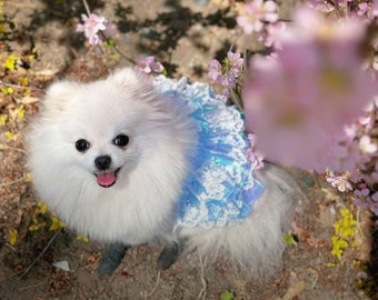 Taille personnalisée de robe de mariée pour chien, robe en tulle bleu scintillant pour grands chiens et chats, tenue d'anniversaire de chiot, costume de princesse, vêtements d'été pour animaux de compagnie