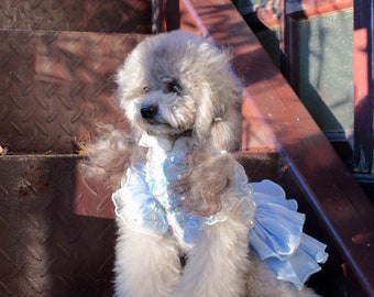 Dog Wedding Dress Shiny Blue, Sparkling Blue Fancy Dog Tutu Dress, Cat Dog Birthday Quinceanera Outfit Disco Party Dress Pet Clothes Custom