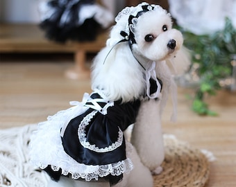 dog french maid costume