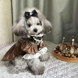 Gucci dog coat discount