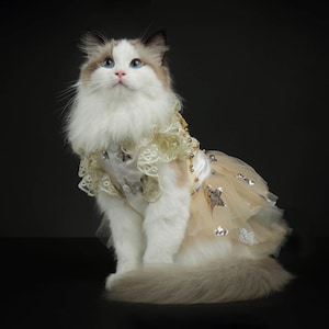 Sparkling Champagne Gold Tulle Fancy Cat Dress, Shinny Sequin Star Prom Gown for Cat, Cat Wedding Dress, Pet Birthday Quinceanera Outfit