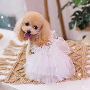 Dog Wedding Dress Summer White Tutu Dress Bridesmaid Costume for