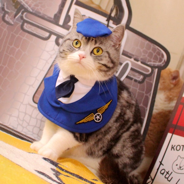 Perro piloto disfraz Halloween gato Air Force Bandana mascota aviador capitán Cosplay traje cachorro gatito conejito fiesta graduación ropa festiva
