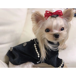 Chanel Dog Clothes Etsy Australia