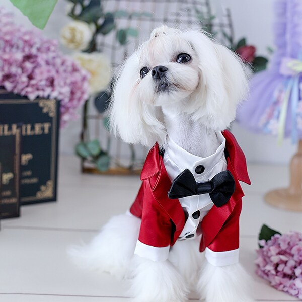 Dog Formal Suit, Dog Tuxedo with Bow Tie, Dog Wedding Attire,Dog Birthday Outfit,Dog Prince Costume Halloween,Dog Swallow-tailed Coat Custom