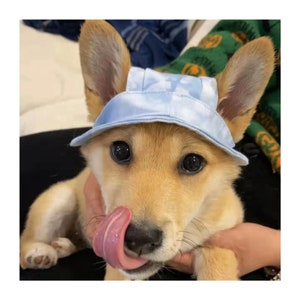 Dog Bucket Hat with Ear Holes, Summer Dog Topee, Dog Sunbonnet Cap, Dog Visor Hat, Sun Protection Cap Travel Hiking Hat for Dog Cat Pet