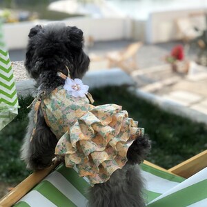 Chic dog clothes shop