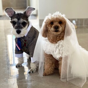 Dog baptism outfit cheap