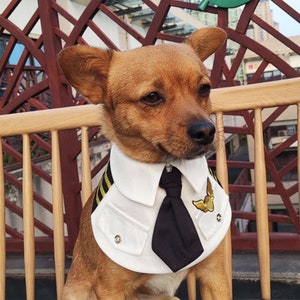 Dog Pilot Costume Halloween, Air Force Dog Bandana, Air Captain Dog Bandana, Pet Airman Bib Collar, Pilot Outfit Bunny Puppy Pet Clothes