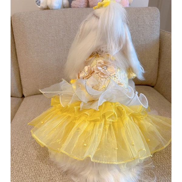 Yellow Tulle Fancy Dress, Cat Dog Princess Costume Inspired Beauty and the Beast, Dog Halloween Costume Bella Princess Dress-up, Pet Clothes