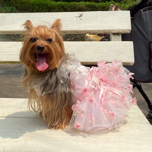 Robe fleurie pour chien Rose Sakura, Déguisements floraux 3D pour chien et chat, Tenue d'anniversaire de mariage pour chien, Déguisement de princesse Vêtements pour animal de compagnie Taille personnalisée image 3