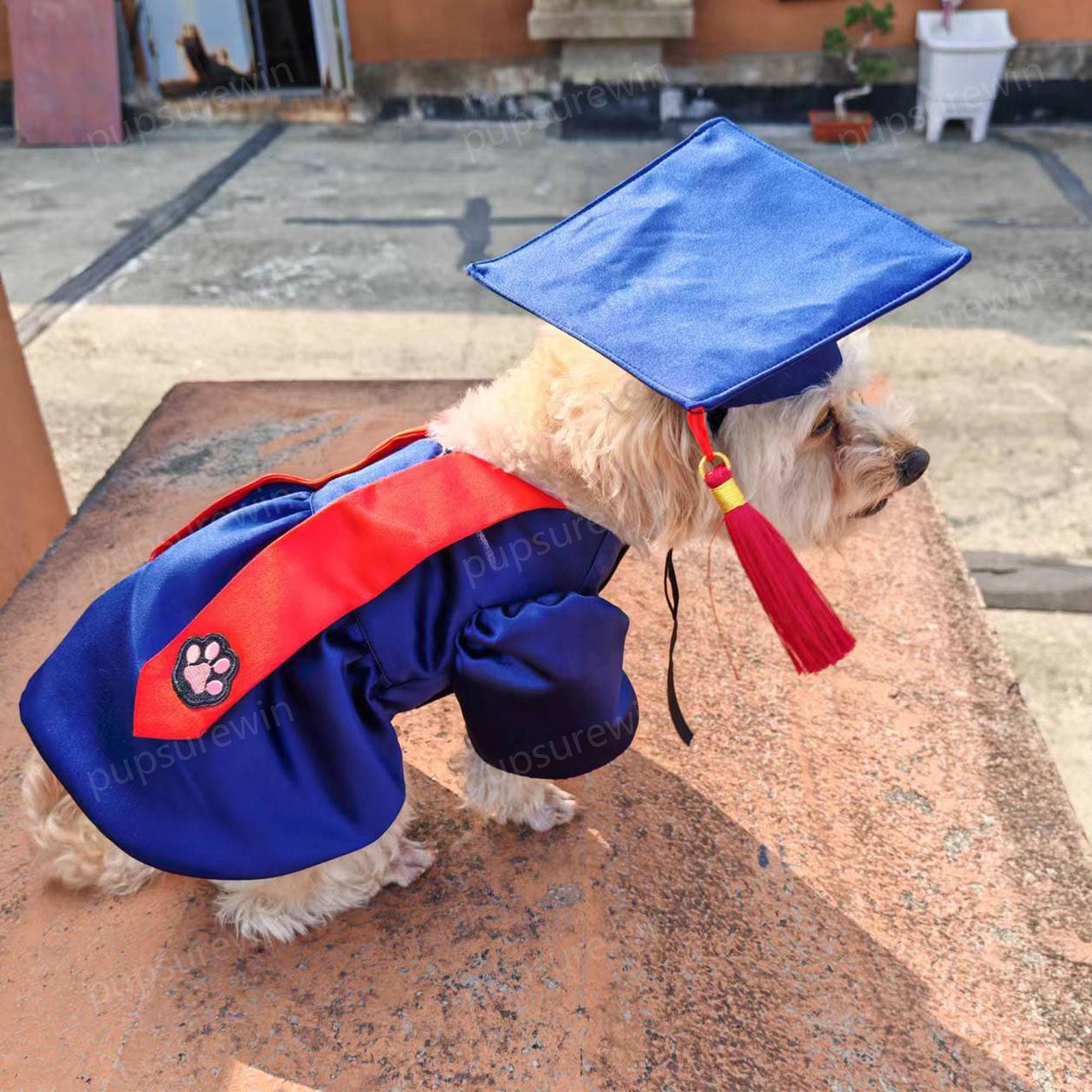 Set Cappello E Vestito Da Laurea Per Cani – In Poliestere Morbido, Regolabile, Lavabile, Per Foto Ricordo E Feste