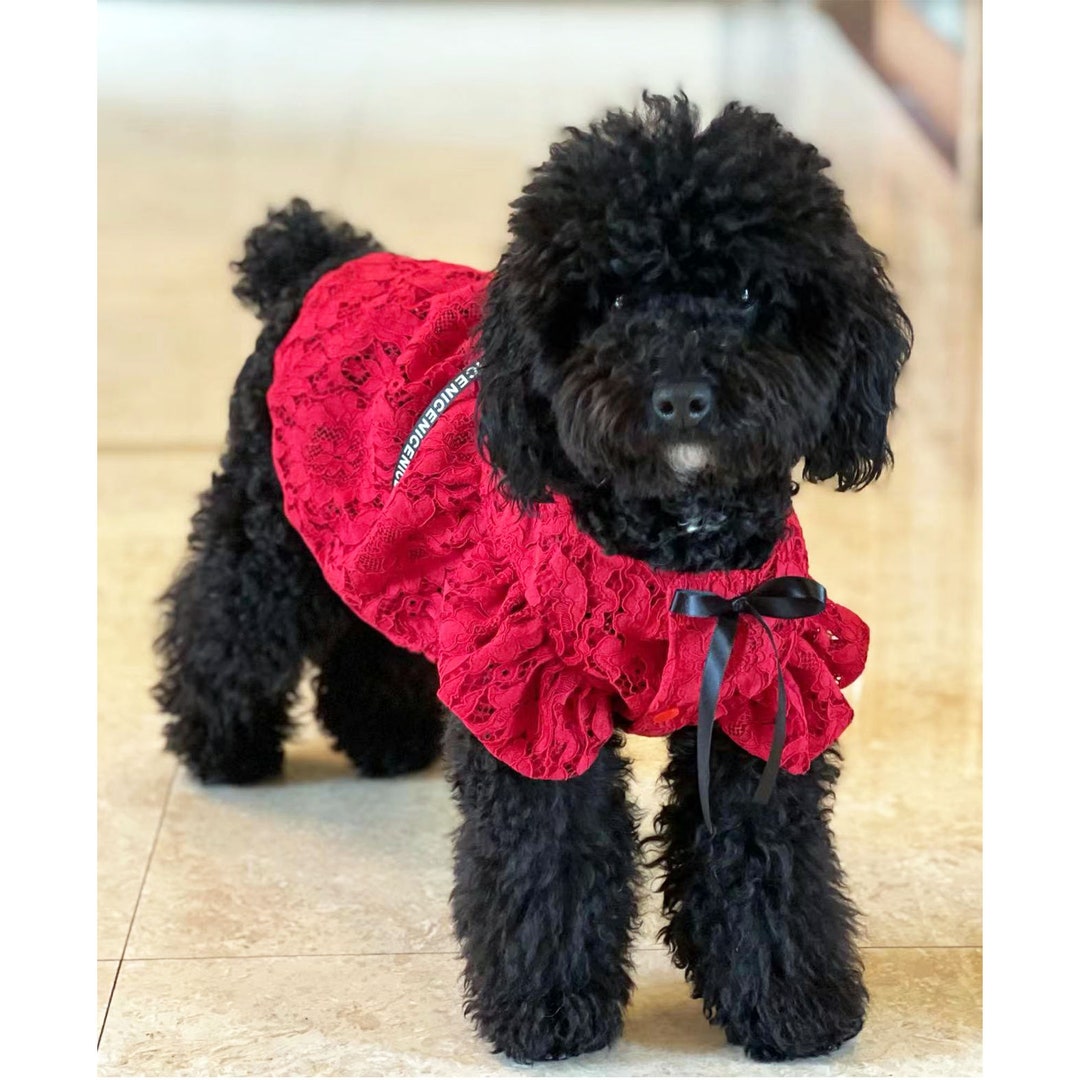 French Chic Fancy Dog Dress, Breathable Flower Embroidered Dog Dress