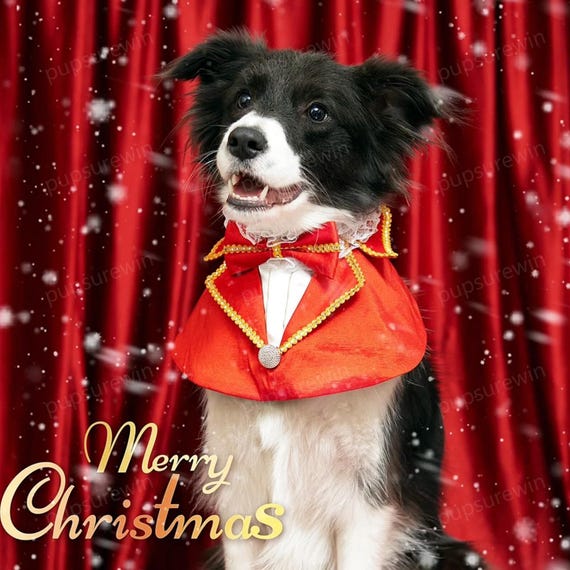 Dog Costumes New Years Dog Bandana Ao Dai Chihuahua Bandana ✨NEW