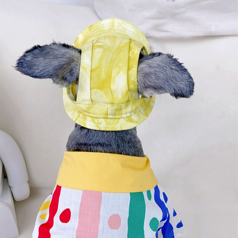 Bob pour chien d'été avec trous d'oreilles, bonnet de soleil pour chien schnauzer, chapeau à visière pour chien, casquette de protection solaire d'extérieur, chapeau de randonnée de voyage pour animaux de compagnie image 4