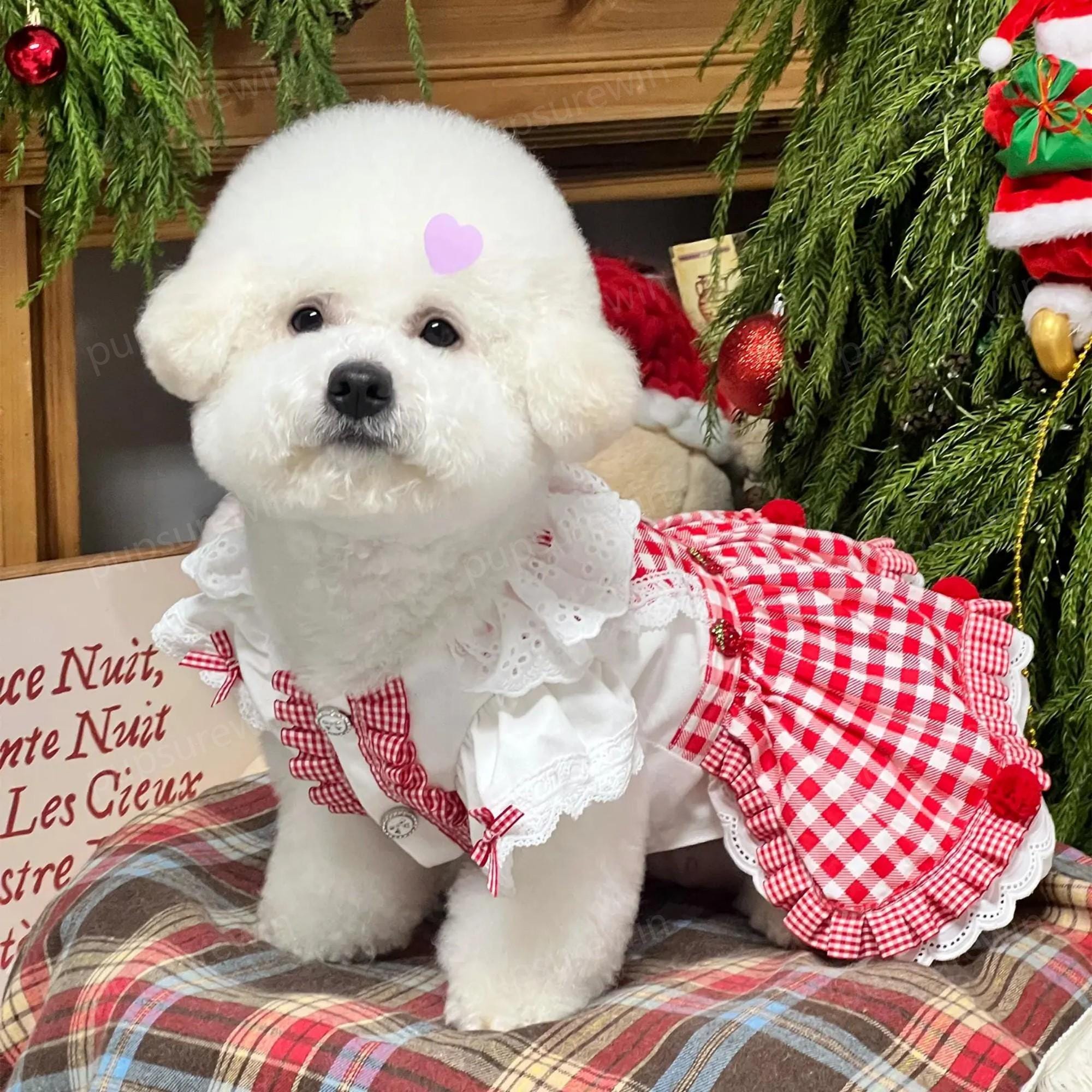 red plaid dog dress Kacey Lee Cinched Gingham Bodice Pet Dress for Cats and Dogs, Red, Extra Small, Size: XS