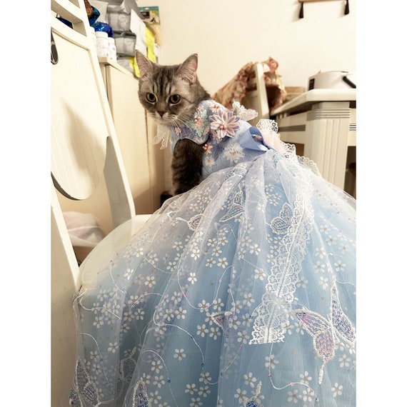 cat wedding dress