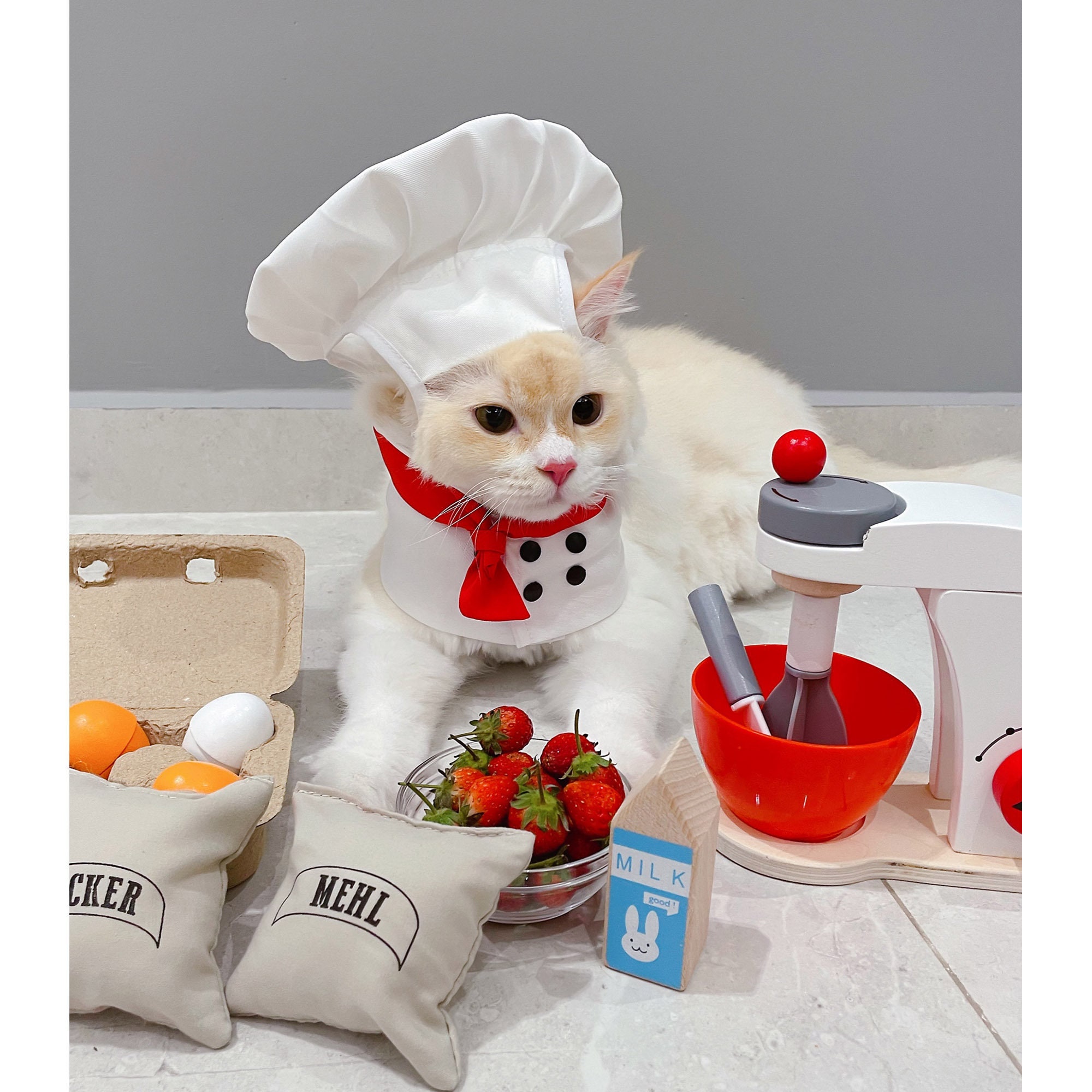 Dog Chef Costume Halloween Cat Baking Hat Cook Bandana Pet Etsy
