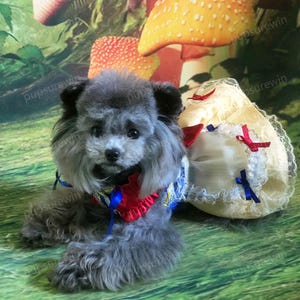 Halloween Dog Dress Inspired from Snow Princess, Cosplay Party Gown for Dogs and Cats, Blue Red Yellow Evening Dress Pets Clothes Customized