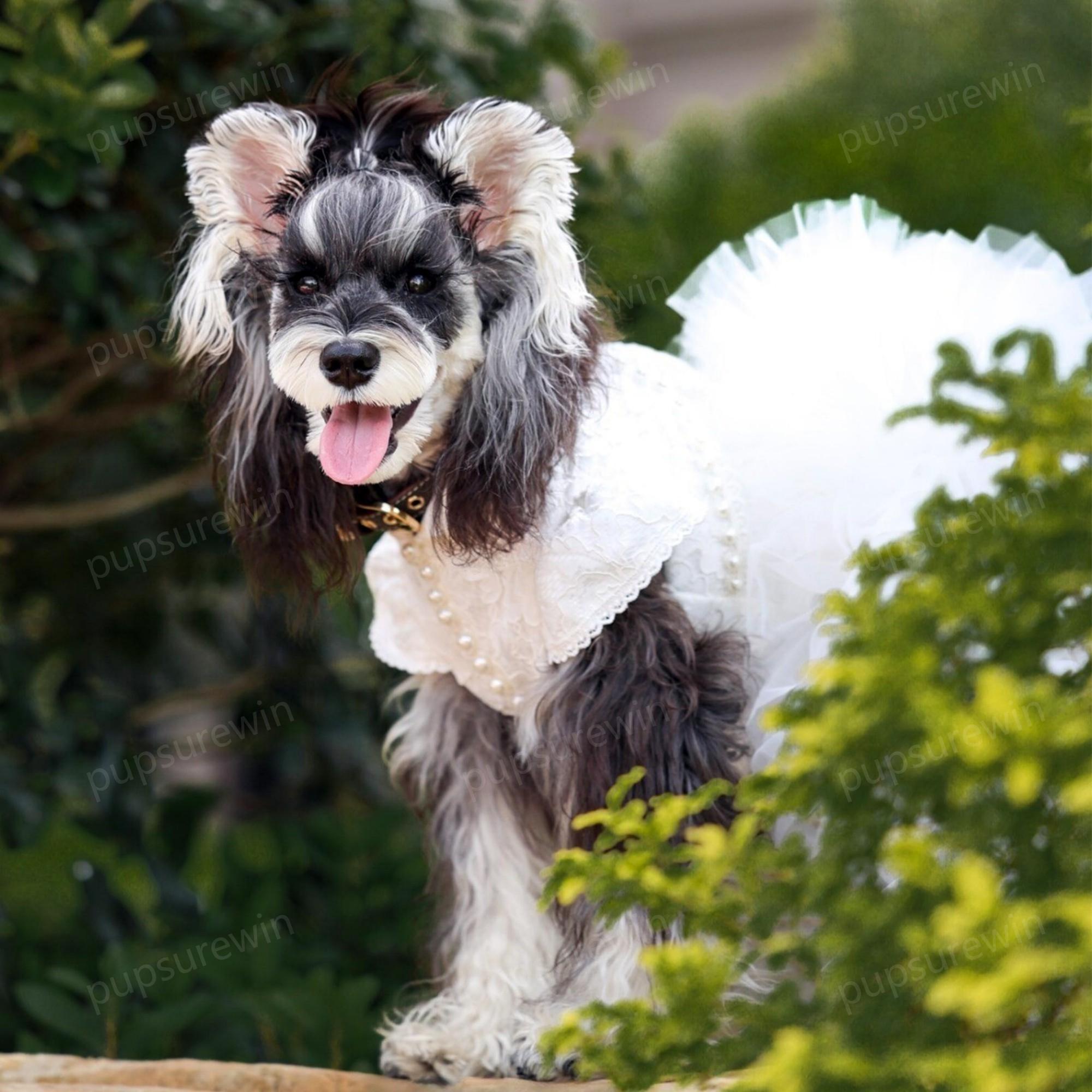 Custom Wedding Dog Dress With a Long Train, White Pearl Tulle Gown