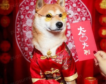 Chinese New Year Tang Suit for Large Dogs, Custom Large Breeds Spring Festival Outfit
