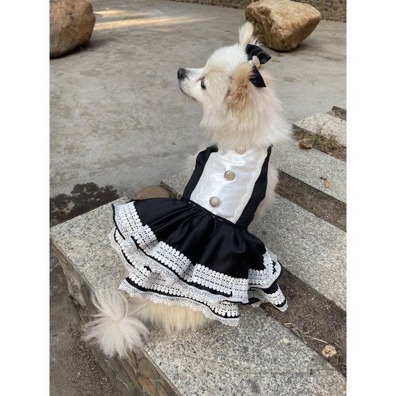 dog french maid costume