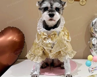 Dog Prince Costume Renaissance Royal Pet Outfit, Custom Gold Tuxedo Set for Halloween Wedding