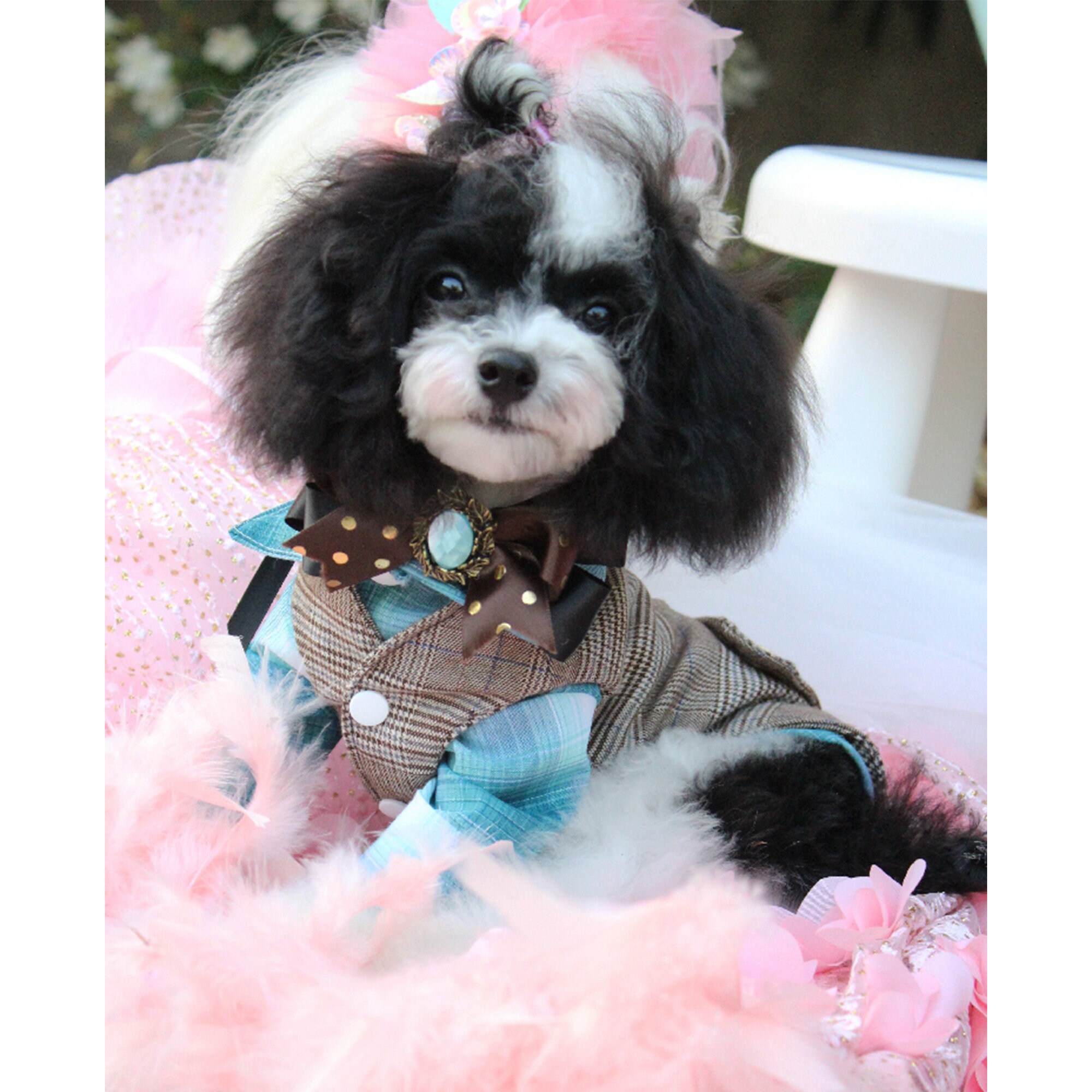 Boy Dog Wedding Suit Pet Bridegroom Costume Puppy Doggy Cat Etsy