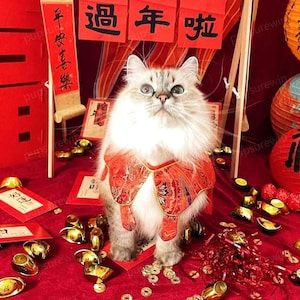 New Year Cat Outfits Red Shawl with Tassels,Chinese New Year Cat Clothes Spring Festival Costume,Red Flowers Capelet for Large Cats and Dogs
