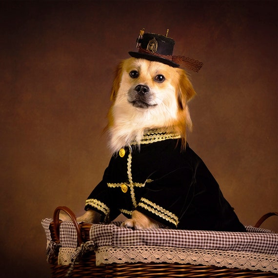 Prince top dog costume