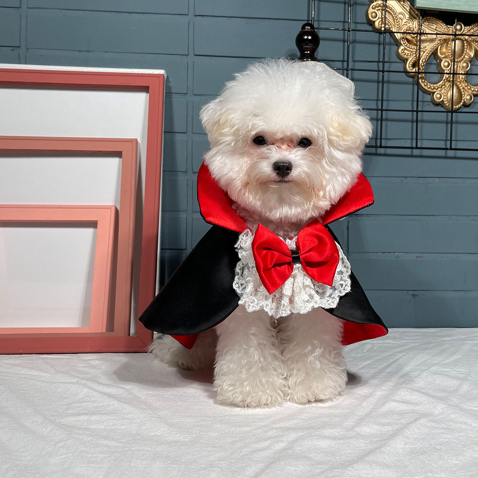 Cat Dog Vampire Costume Halloween Count Dracula Robe Pet Etsy