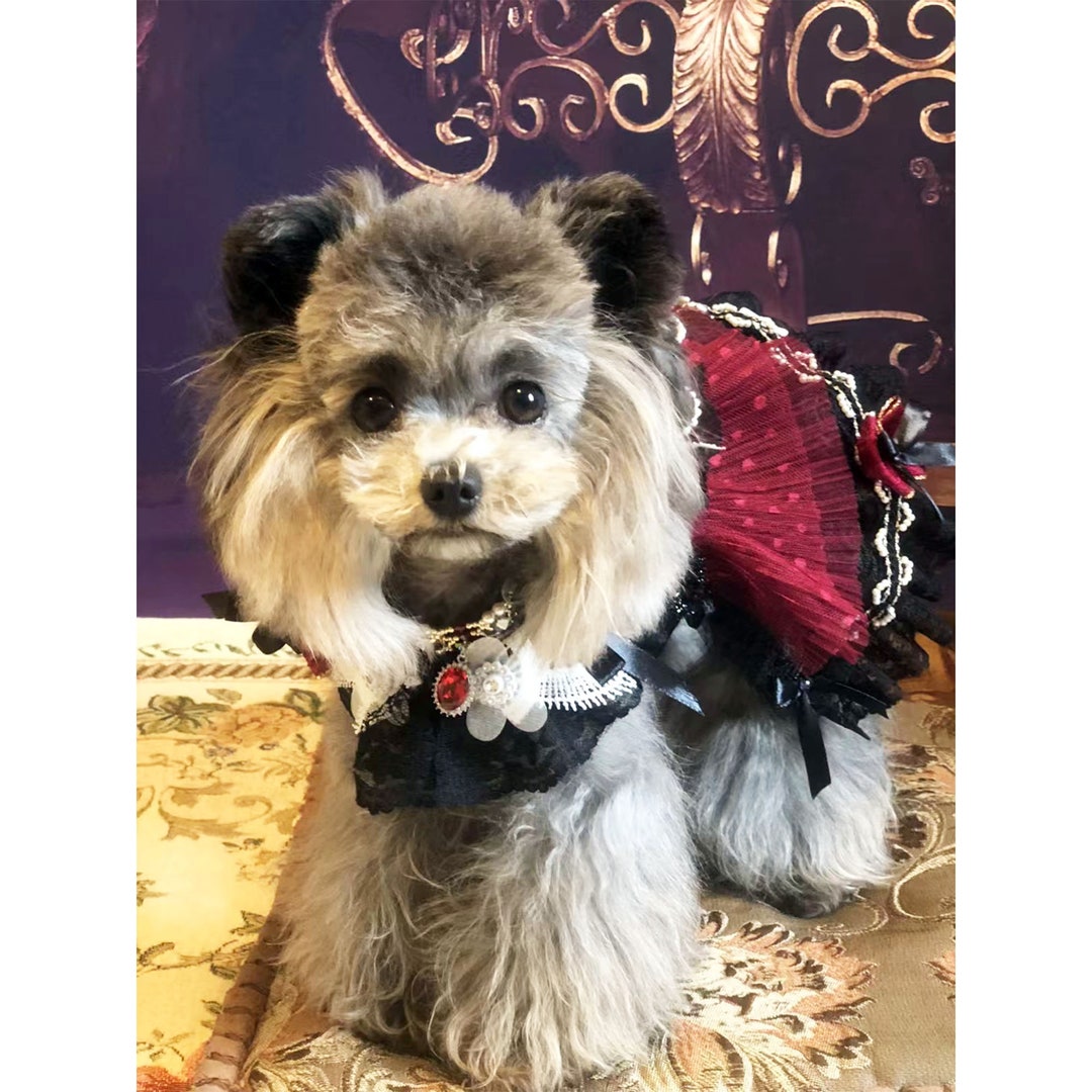 Dog Halloween Costume Inspired From Selene, Dog Cosplay Prom Dress