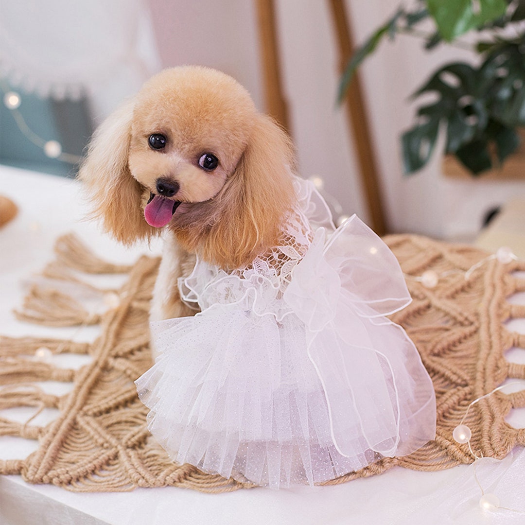 White and Black Dog Quinceanera Dress Fancy Knit Dog Dress With Ruffle for  Chihuahua or Yorkie Pet Gifts Ready to Ship 