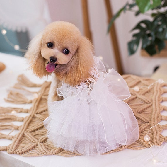 Dog Wedding Dress Summer White Tutu Dress, Bridesmaid Costume for