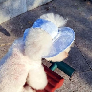 Dog Bucket Hat with Ear Holes Custom, Summer Bucket Hat for Large Dogs, Outdoor Sun Protection Cap, Dog Sunbonnet,Travel Hiking Hat for Pets